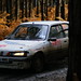 Forrest Martin Photo 18