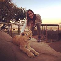 Carolina Sarmiento Photo 8