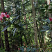Virginia Richards Photo 14