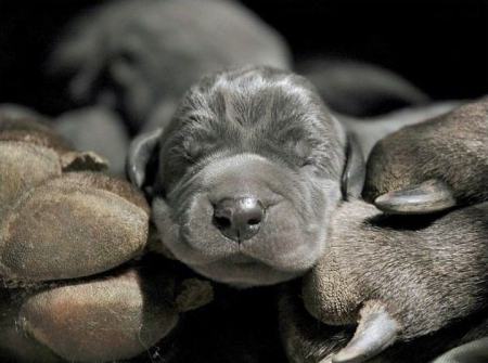 Linda Winters Photo 2