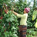 Huong Phung Photo 13