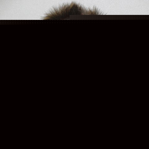 Karl Smart Photo 27