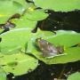 Jane Jewell Photo 26