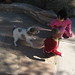 Sharon Benson Photo 18