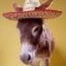 Tony Urrutia Photo 22