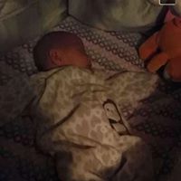 David Arney Photo 5