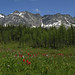 Monica Meadows Photo 10