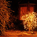John Franz Photo 43