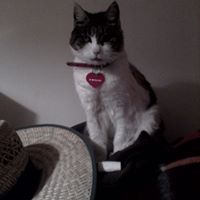 Geraldine Mcneil Photo 4