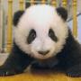 Lei Chen Photo 35