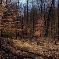 William Buckles Photo 5