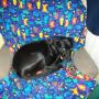 Brenda Rowell Photo 21