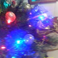 Calvin Stone Photo 18