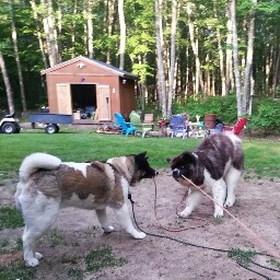 Traci Stanley Photo 11