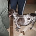 Cathy Meadows Photo 15