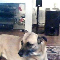 Mia Ham Photo 7