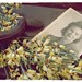 Angie Gibson Photo 22