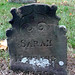 Sarah Hubbard Photo 22