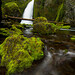 Aaron Kraemer Photo 14
