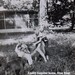 Bobby Powell Photo 39