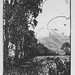 George Bradwell Photo 1