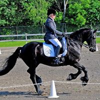 Gale Wolfe Photo 3