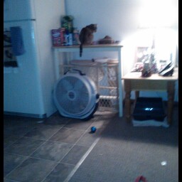 Sandra Beck Photo 29