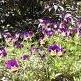 Jill Conklin Photo 8