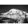 Roy Harper Photo 19