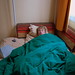 Andy Perry Photo 30
