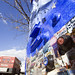 Debra Samples Photo 10