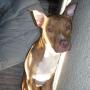 Allison Hunt Photo 8
