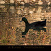 Arlene Swan Photo 5