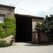 Vicki Vines Photo 18