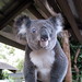 Barbara Downs Photo 21