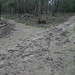 Nicholas Bush Photo 6