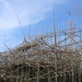 Mike Cantor Photo 9