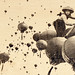 Steven Wong Photo 43