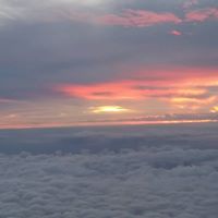 Lam Pham Photo 27