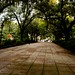Georgia Lane Photo 36