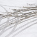 Mark Neu Photo 11