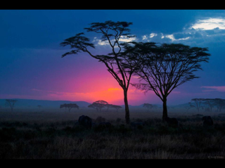 Paul Shipley Photo 13