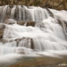 Ann Bridgers Photo 6