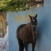 Eduardo Salinas Photo 1