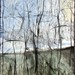 Jan Gailey Photo 5