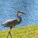 Kelly Herron Photo 26