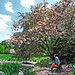 Christina Pond Photo 11