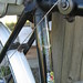 Geraldine Coats Photo 3
