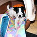 Vickie Russell Photo 33