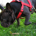 Leroy Sherman Photo 8